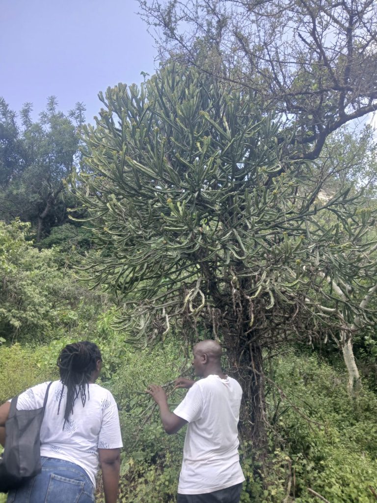 Tour Image
